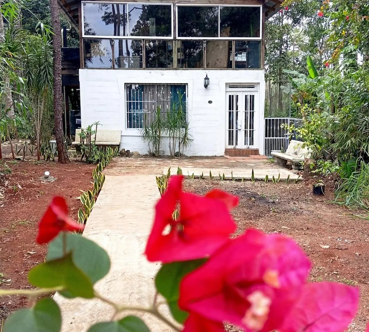 Chalet Thevenin Art Accommodation Jarabacoa Apartamento